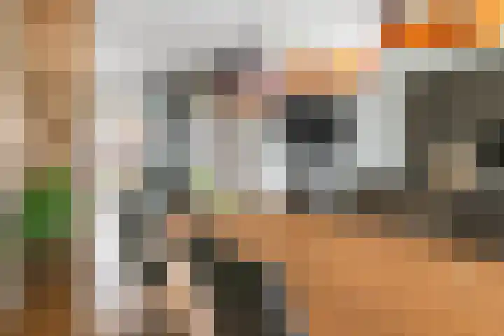 Fazant 8 Maurik thumbnail 14
