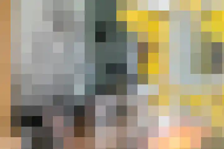 Fazant 8 Maurik thumbnail 16