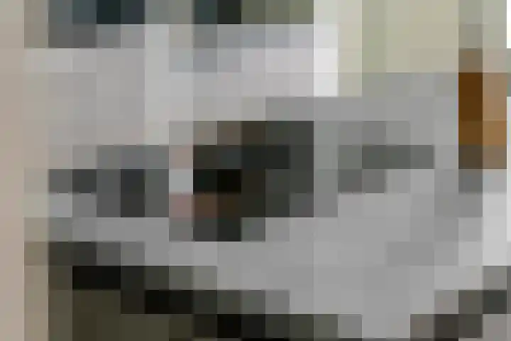 Fazant 8 Maurik thumbnail 21