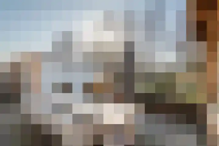 Fazant 8 Maurik thumbnail 28