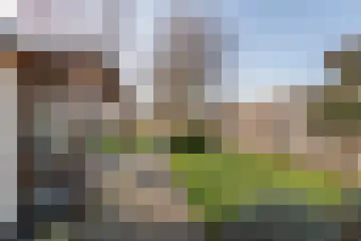 Fazant 8 Maurik thumbnail 31