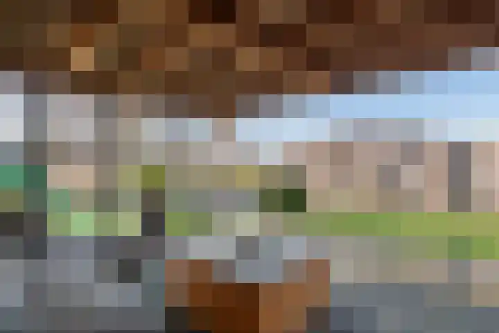Fazant 8 Maurik thumbnail 33