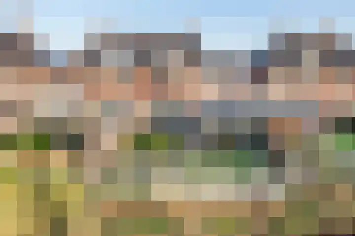 Fazant 8 Maurik thumbnail 39