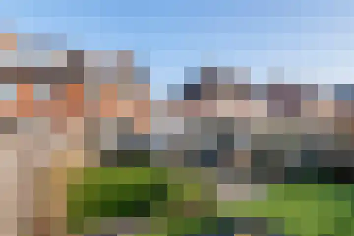 Fazant 8 Maurik thumbnail 40