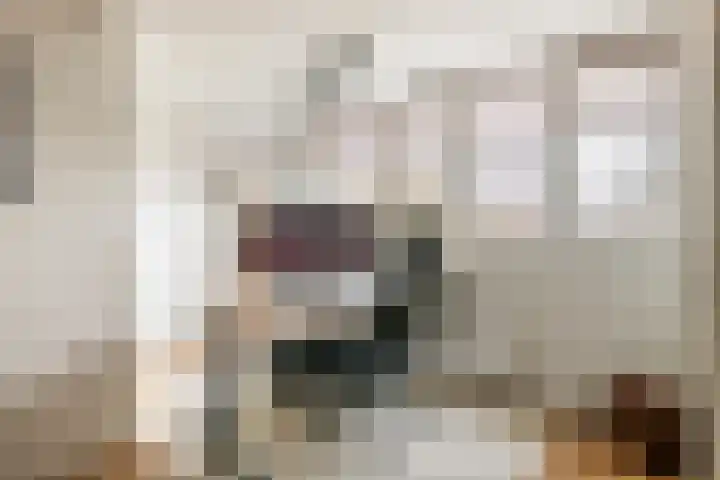 Fazant 8 Maurik thumbnail 59