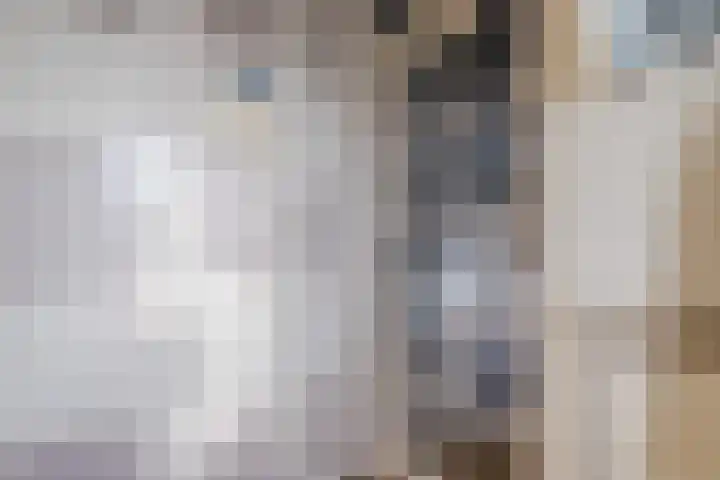 Fazantenerf 2 IJsselstein thumbnail 15