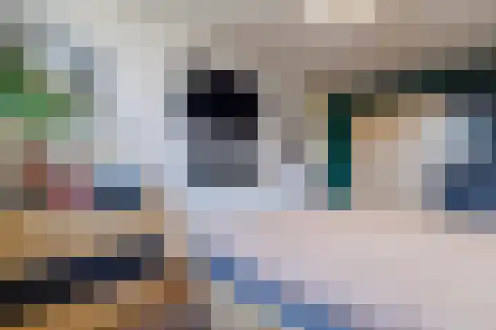 Fazantenerf 2 IJsselstein thumbnail 18