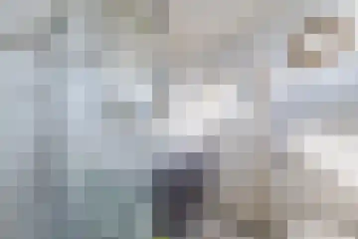 Fazantenerf 2 IJsselstein thumbnail 27