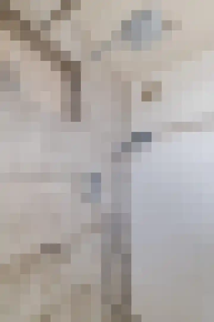 Fazantenerf 2 IJsselstein thumbnail 28