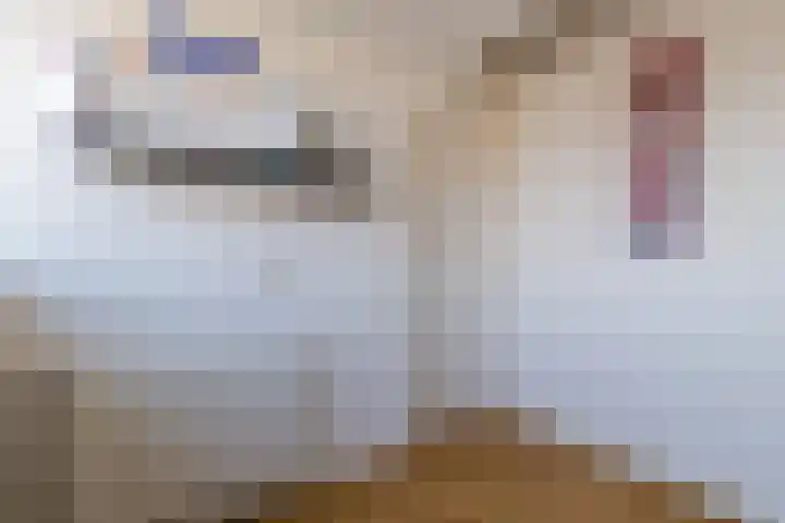 Fazantenerf 2 IJsselstein thumbnail 38