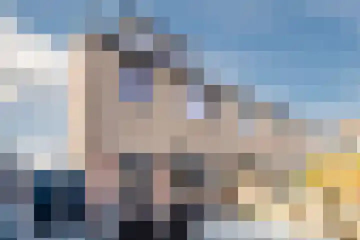 Fazantenerf 2 IJsselstein thumbnail 47