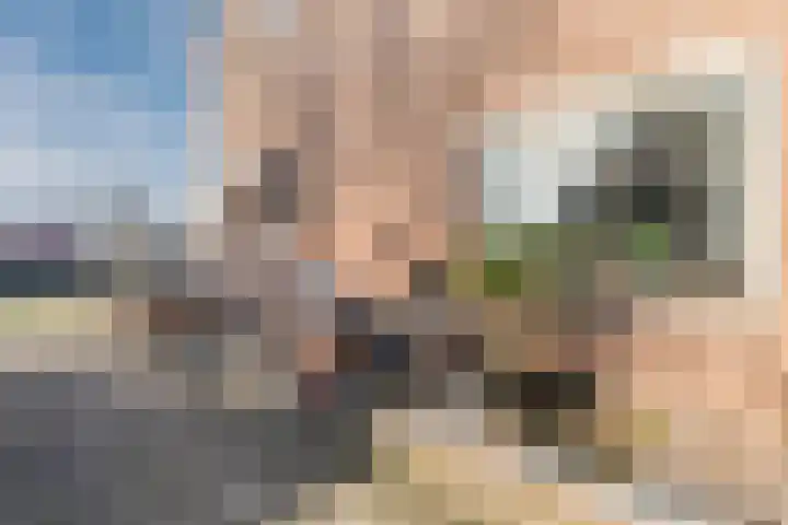 Fazantenerf 2 IJsselstein thumbnail 54