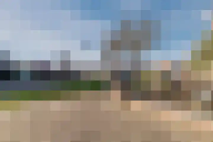 Fazantenerf 2 IJsselstein thumbnail 57
