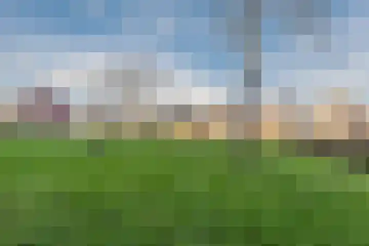 Fazantenerf 2 IJsselstein thumbnail 58