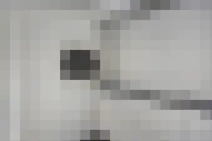 Fazantlaan 143 Budel thumbnail 14
