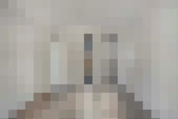 Fazantlaan 143 Budel thumbnail 16