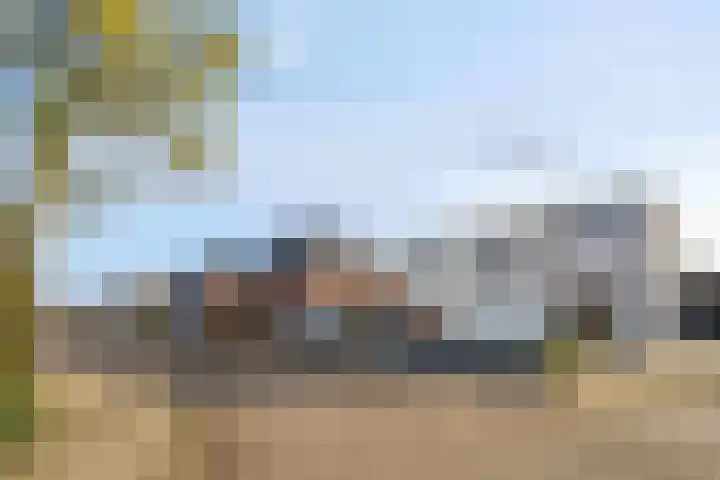 Fazantlaan 143 Budel foto 2
