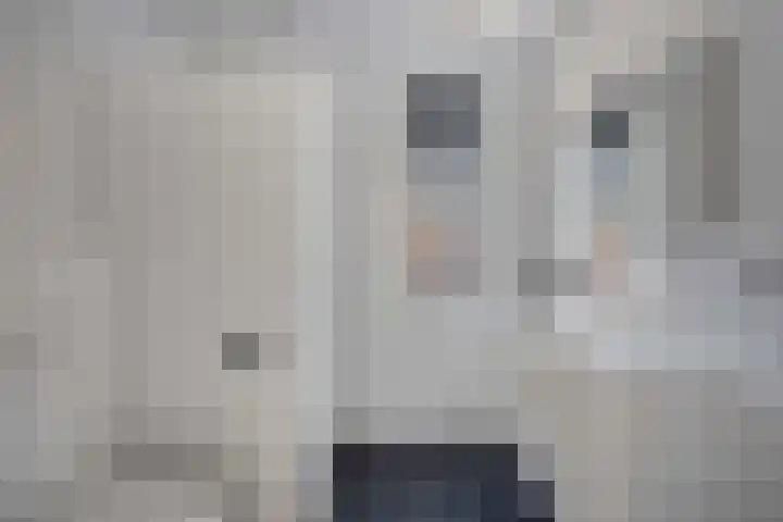 Fazantlaan 143 Budel thumbnail 27
