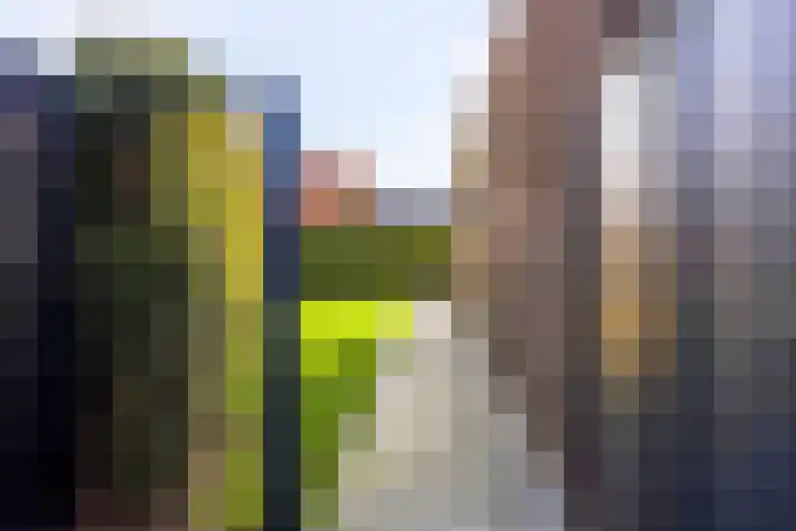 Fazantlaan 143 Budel thumbnail 32