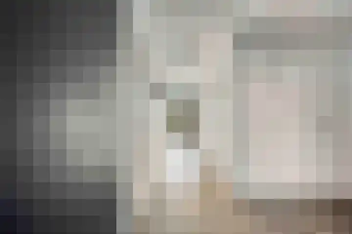Fazantlaan 143 Budel thumbnail 4