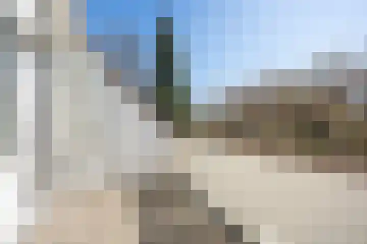 Fazantlaan 6 Almere thumbnail 26