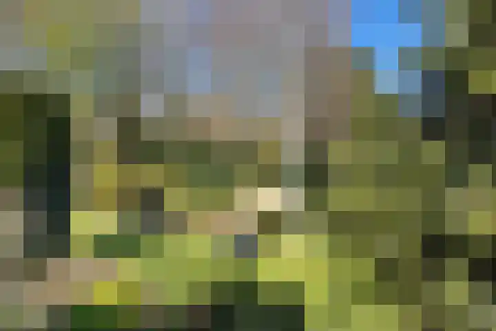 Fazantlaan 6 Almere thumbnail 34