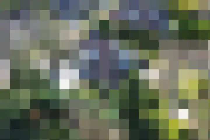 Fazantlaan 6 Almere thumbnail 4