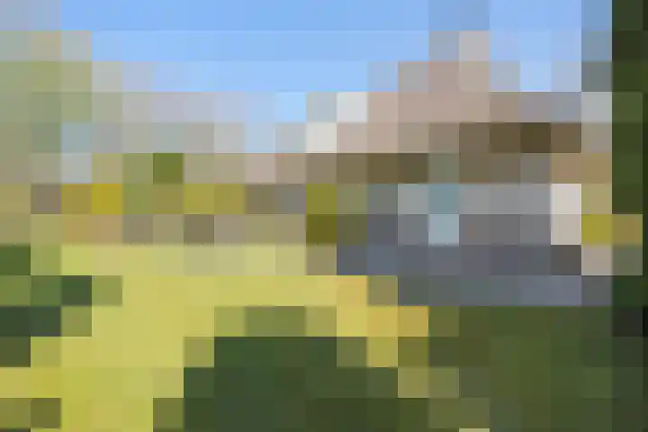 Fazantlaan 6 Almere thumbnail 40