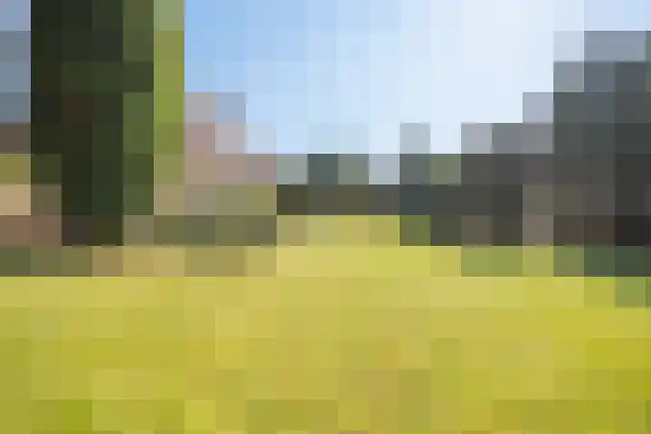 Fazantlaan 6 Almere thumbnail 44