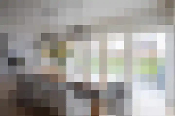 Fazantstraat 39 Culemborg thumbnail 18