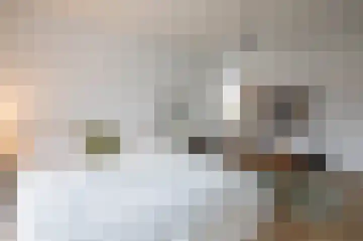 Fazantstraat 39 Culemborg thumbnail 32