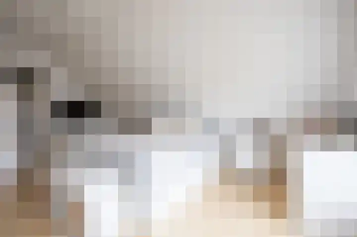 Fazantstraat 39 Culemborg thumbnail 37