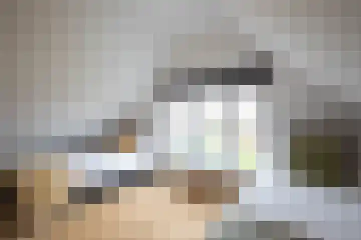 Fazantstraat 39 Culemborg thumbnail 41