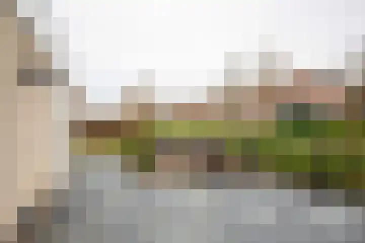 Fazantstraat 39 Culemborg thumbnail 43