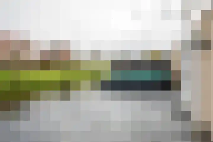 Fazantstraat 39 Culemborg thumbnail 44