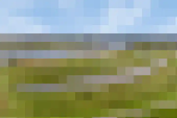 Fazantstraat 39 Culemborg thumbnail 50