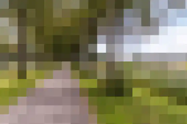 Fazantstraat 39 Culemborg thumbnail 53