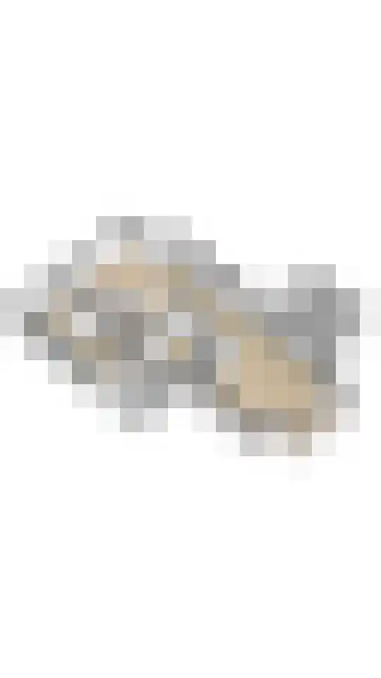 Fazantstraat 39 Culemborg thumbnail 56