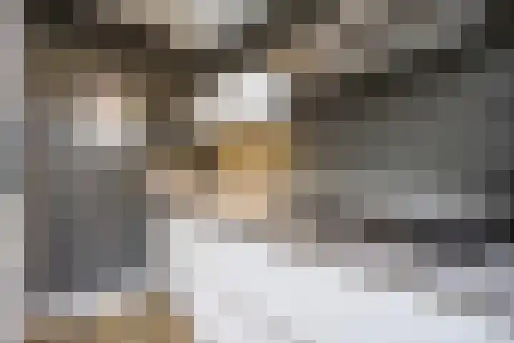 Fazantstraat 46 Wijchen thumbnail 11