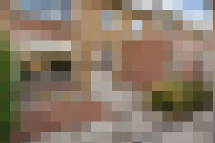 Fazantstraat 46 Wijchen thumbnail 16