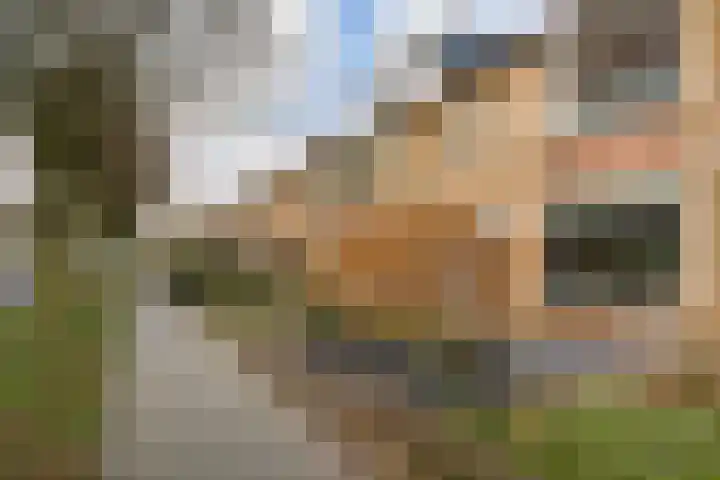 Fazantstraat 46 Wijchen thumbnail 25