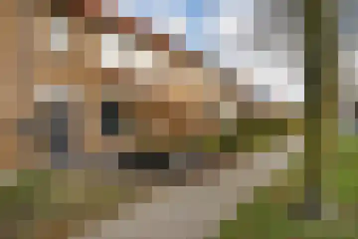 Fazantstraat 46 Wijchen thumbnail 26
