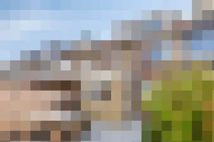 Fazantstraat 52 Wijchen thumbnail 24
