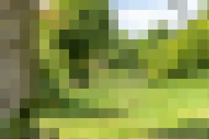 Fazantstraat 52 Wijchen thumbnail 31