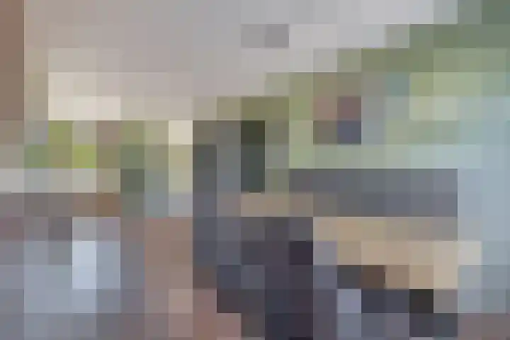 Fazantweg 5 Havelte thumbnail 12