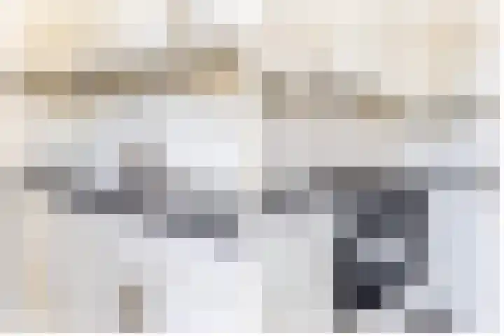 Fazantweg 5 Havelte thumbnail 14