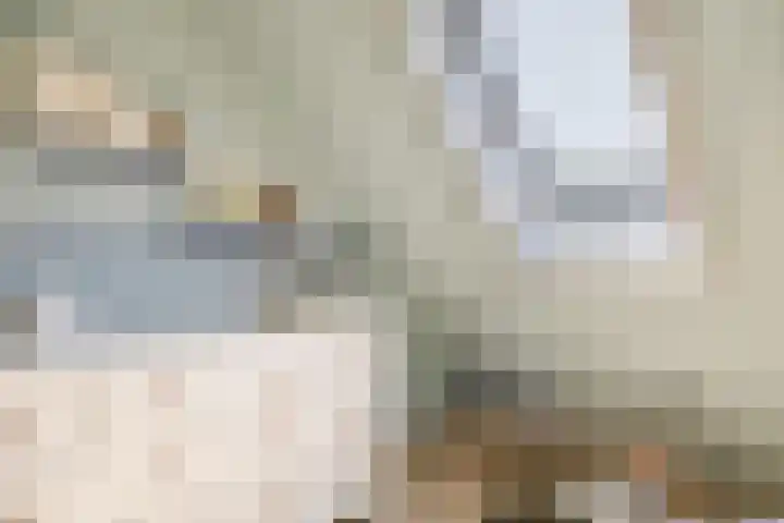 Fazantweg 5 Havelte thumbnail 23