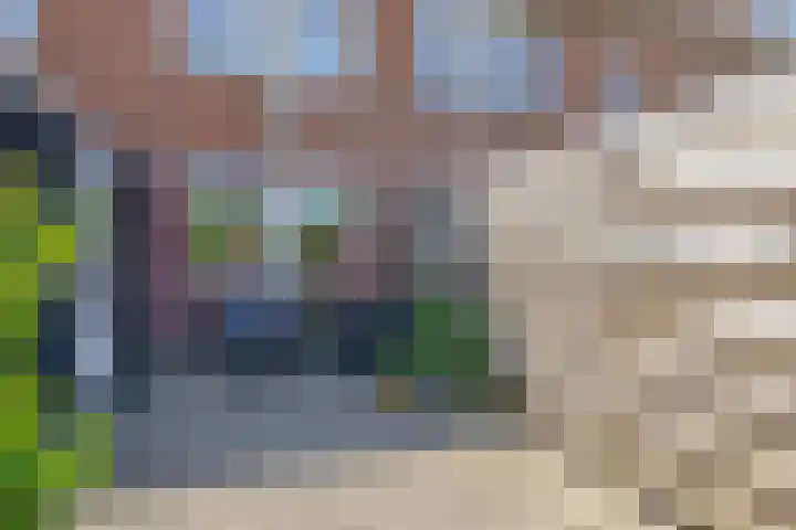 Fazantweg 5 Havelte thumbnail 29