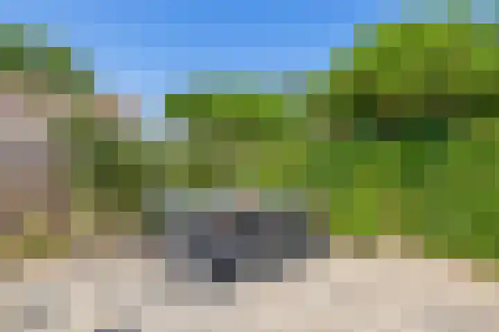 Fazantweg 5 Havelte thumbnail 34