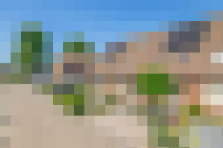 Fazantweg 5 Havelte thumbnail 36